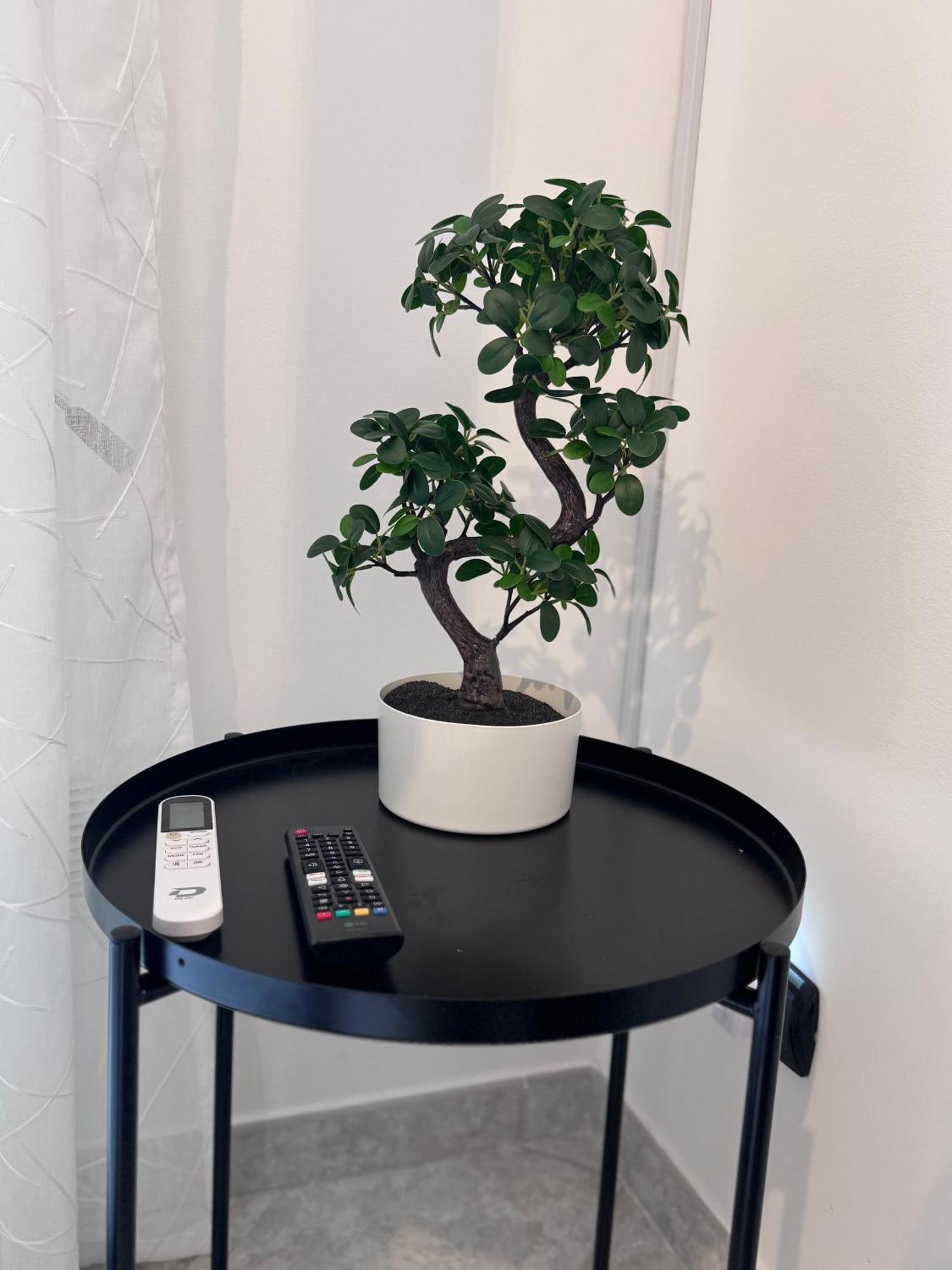 La Dimora Del Principe Apartment Bari Ngoại thất bức ảnh